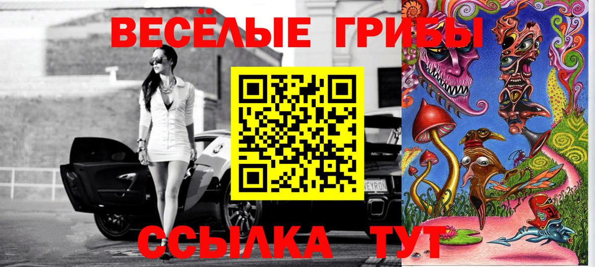 Псилоцибиновые грибы Cubensis  Вход с VPN  Богданович 